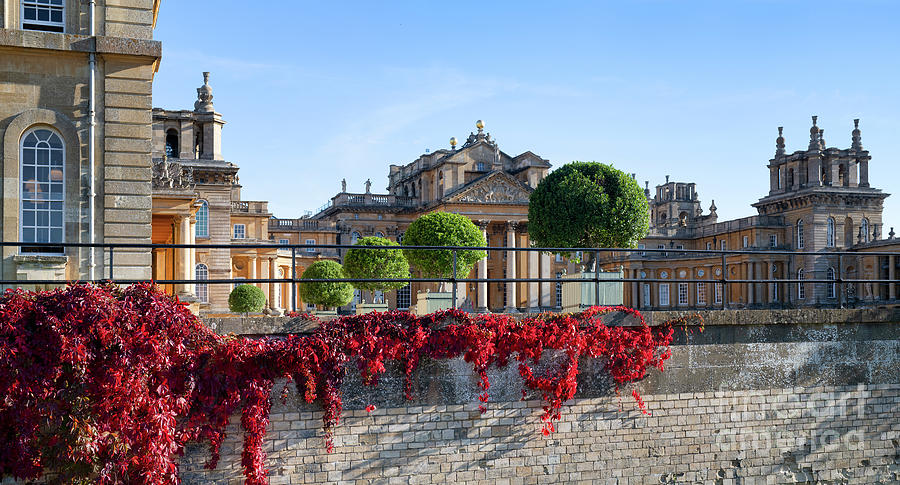 Blenheim Palace in Autumn Photograph by Tim Gainey