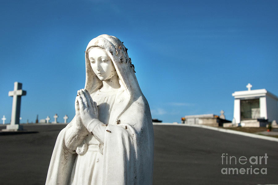 Blessed Mary Prays 2013 Photograph By Michael Ziegler Fine Art America