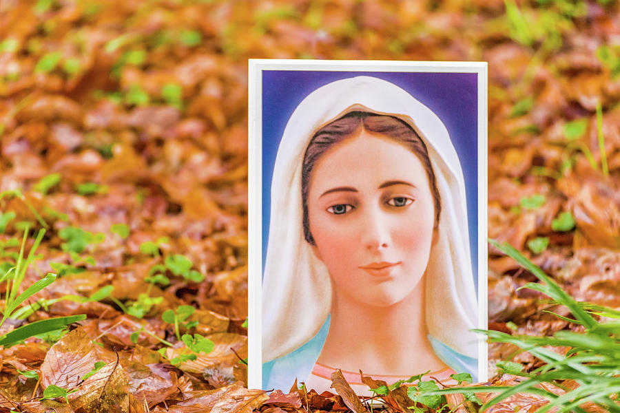 Blessed Virgin Mary on carpet of leaves Photograph by Vivida Photo PC