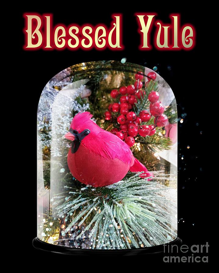 Blessed Yule Photograph by Rachel Hannah