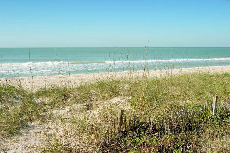 Blind Pass Beach, Manasota Key, Florida By Myloupe Uig