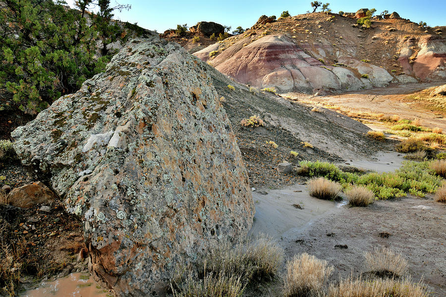 BLM Bentonite Site on Little Park Road Photograph by Ray Mathis