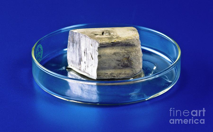 Block Of Sodium Metal Photograph by Martyn F. Chillmaid/science Photo Library