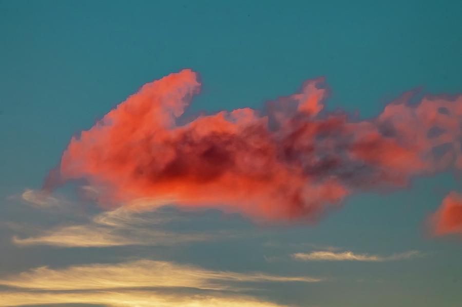 Blood Cloud Photograph by Terri Hart-Ellis