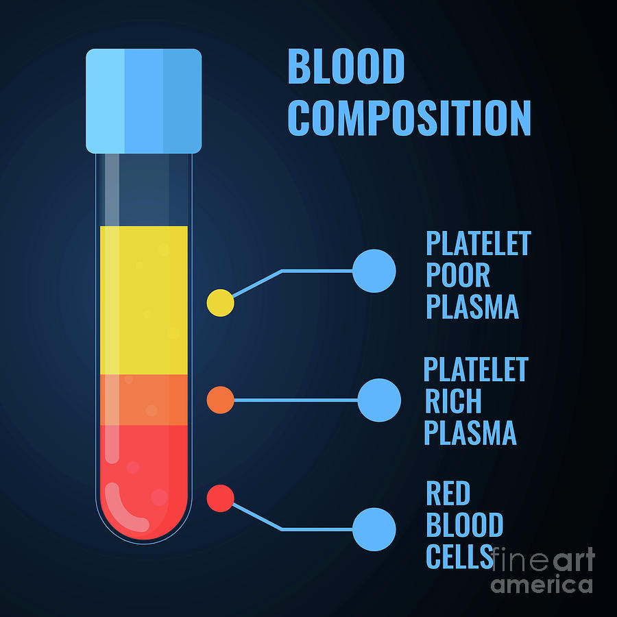 Blood Photograph - Blood Composition by Art4stock/science Photo Library