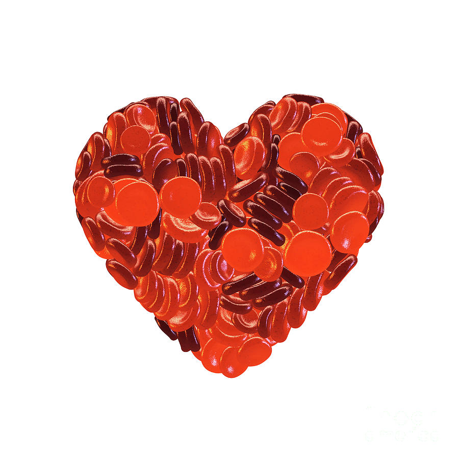 3d Photograph - Blood Donation by Nobeastsofierce/science Photo Library 3d Photograph - Blood Donation by Nobeastsofierce/science Photo Library
