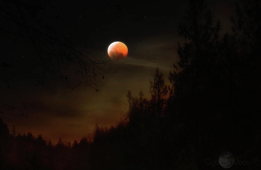 Blood Moon Photograph by Cybele Moon