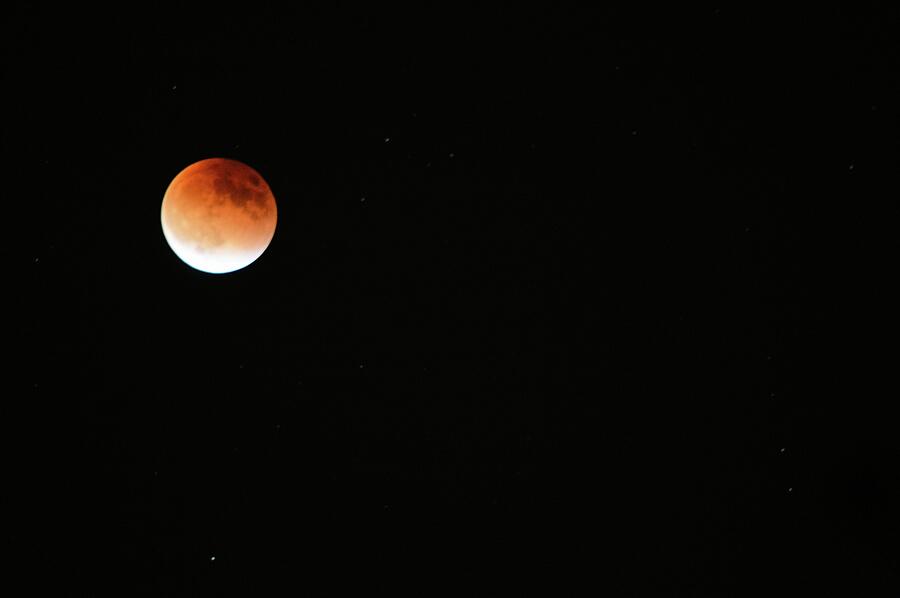 Blood Moon Photograph by Debra Kewley