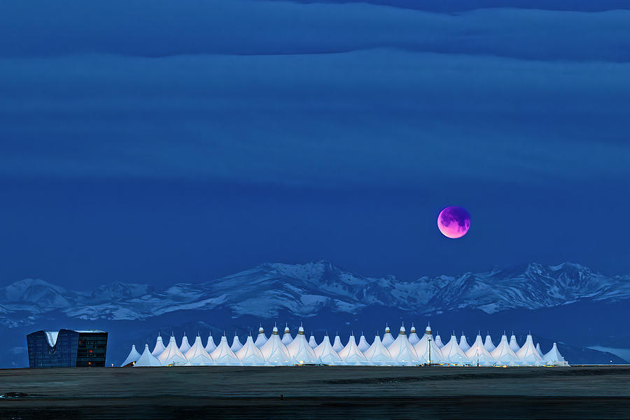 Blood Moon Photograph by Kristal Kraft