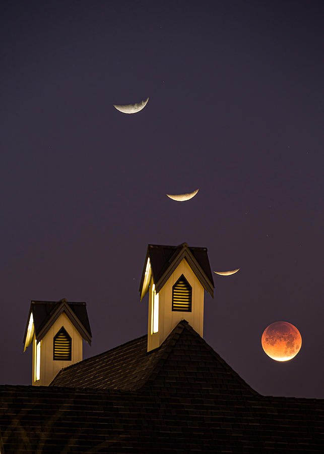 Nature Photograph - Blood Moon by Mike He