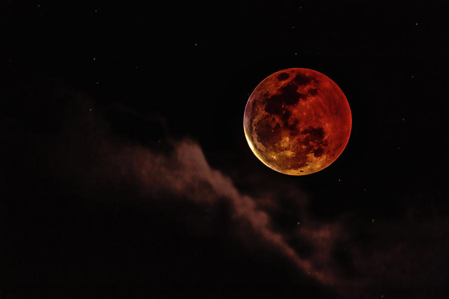 Blood Moon Rising Photograph by John Bauer