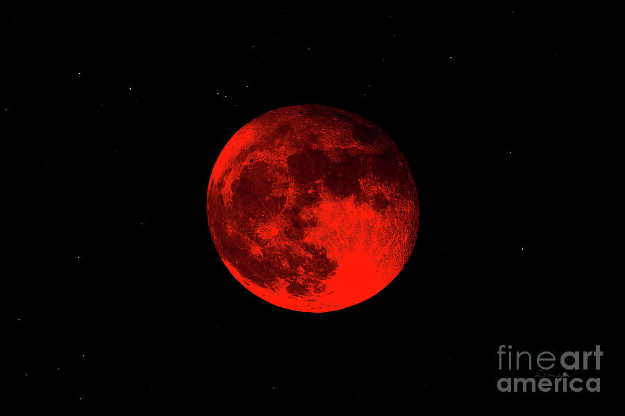 Blood Red Wolf Supermoon Eclipse 873A Photograph by Ricardos Creations