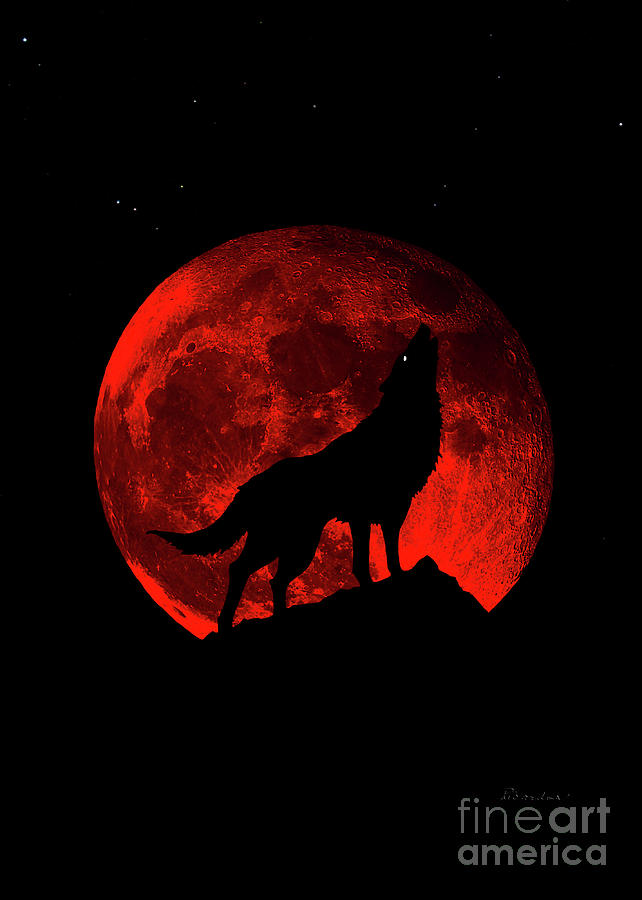 Blood Red Wolf Supermoon Eclipse 873j Photograph by Ricardos Creations