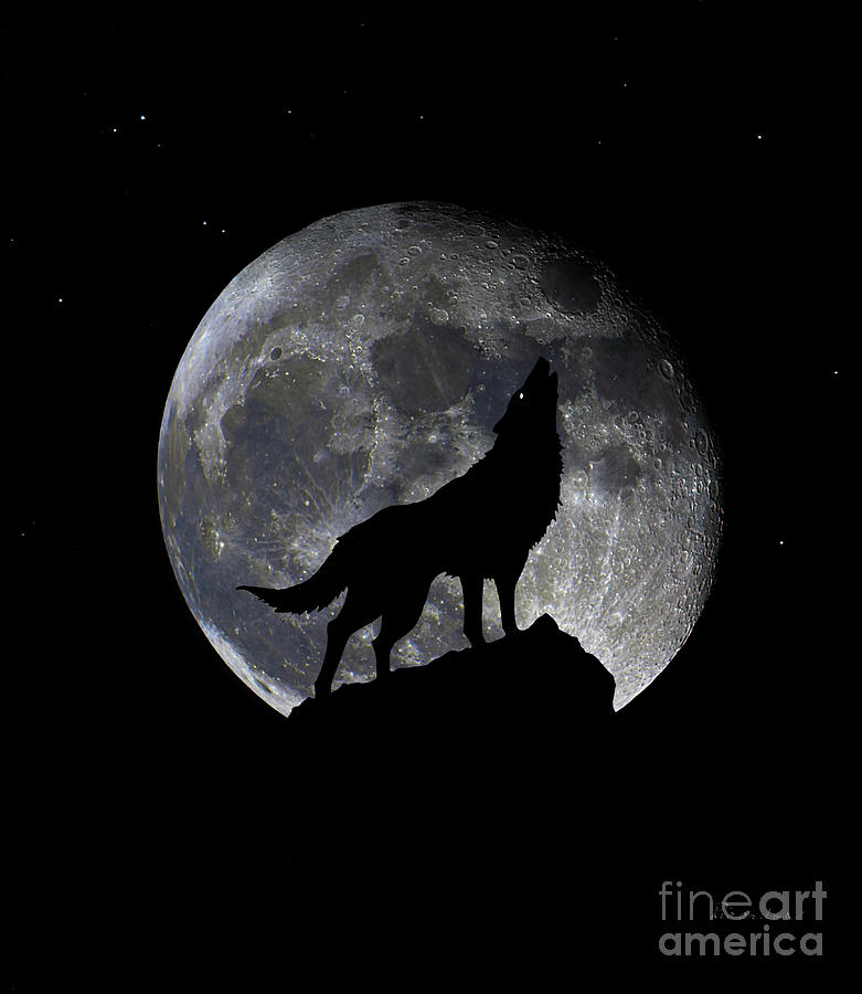 Pre Blood Red Wolf Supermoon Eclipse 873q Photograph by Ricardos Creations