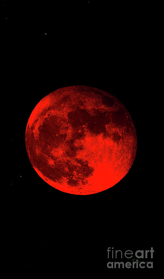 Blood Red Wolf Supermoon Eclipse Series 873dr Photograph by Ricardos Creations