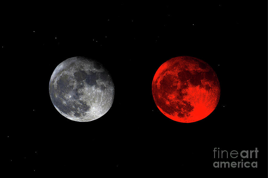 Blood Red Wolf Supermoon Eclipse Series 873e Photograph by Ricardos Creations