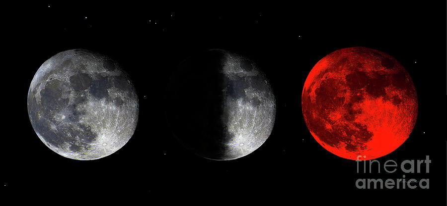 Blood Red Wolf Supermoon Eclipse Series 873f Photograph by Ricardos Creations