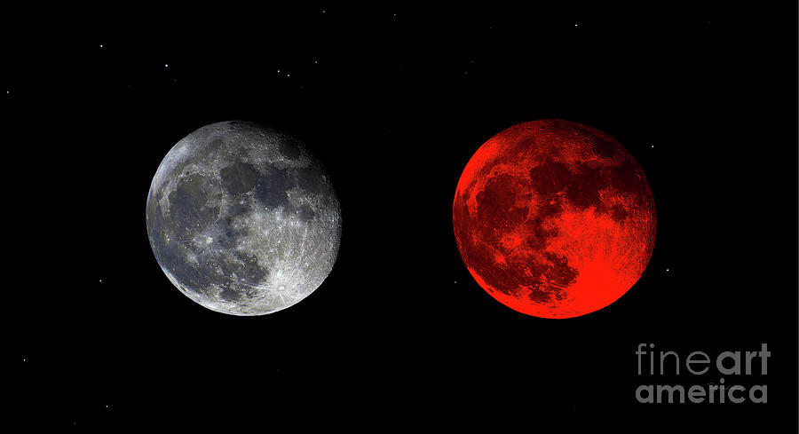 Blood Red Wolf Supermoon Eclipse Series 873g Photograph by Ricardos Creations