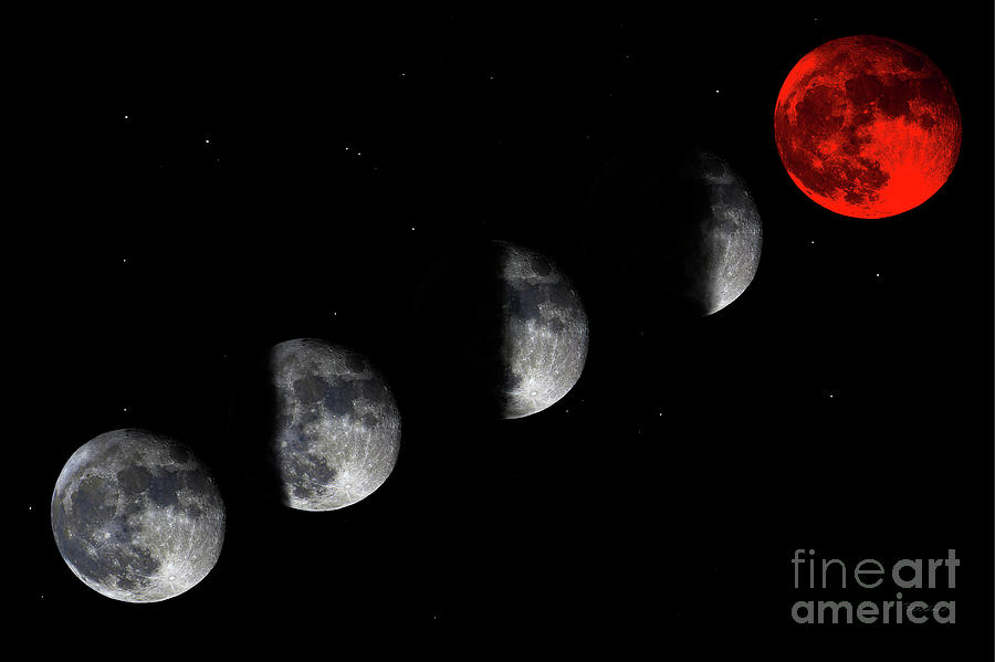 Blood Red Wolf Supermoon Eclipse Series 873i Photograph by Ricardos Creations