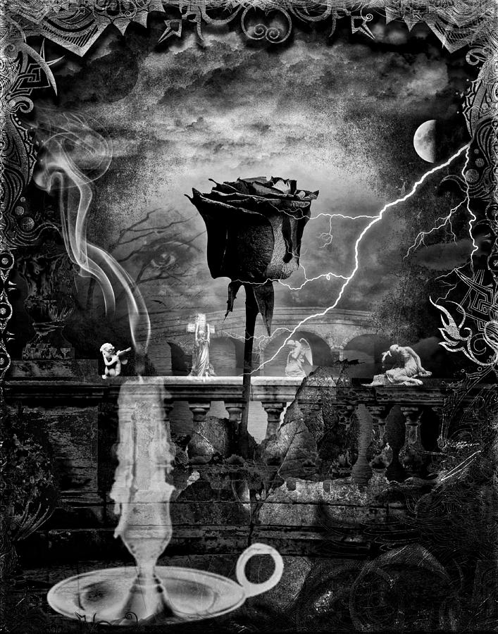 Blood Rose BW by Michael Damiani Blood Rose BW by Michael Damiani