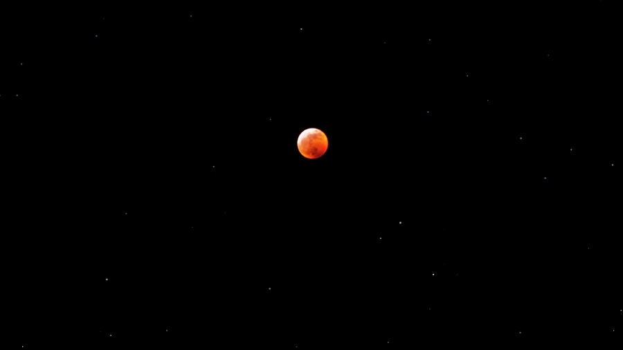 Blood Wolf Moon Photograph by Bob VonDrachek