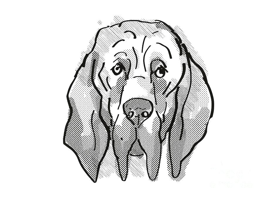 Bloodhound Dog Breed Cartoon Retro Drawing Digital Art by Aloysius  Patrimonio - Fine Art America