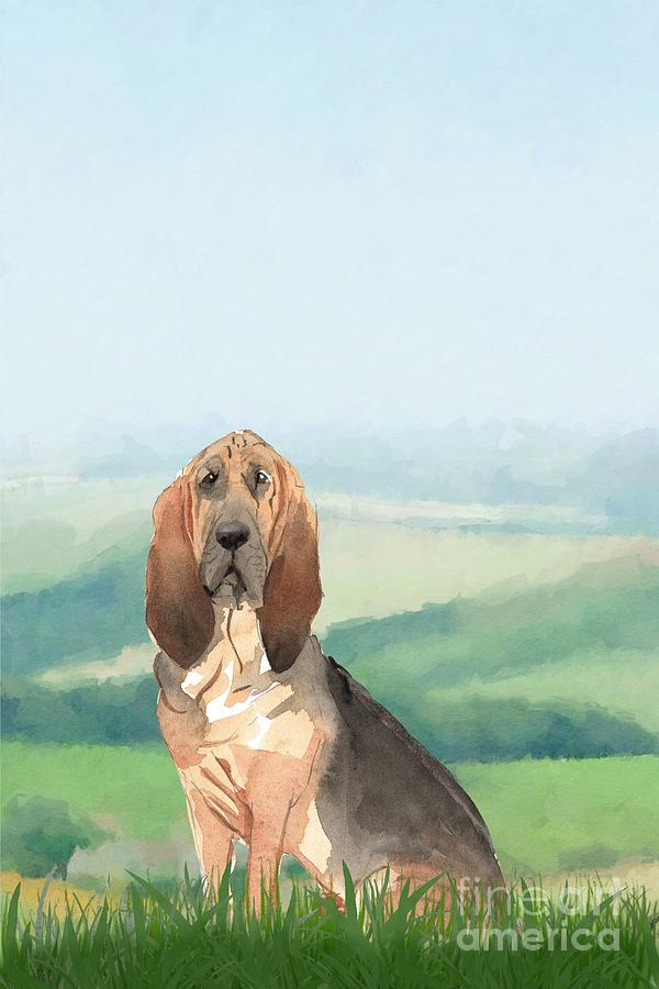 Bloodhound Painting by John Edwards