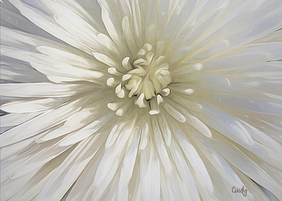 BLOOM by Cindy Greenstein BLOOM by Cindy Greenstein