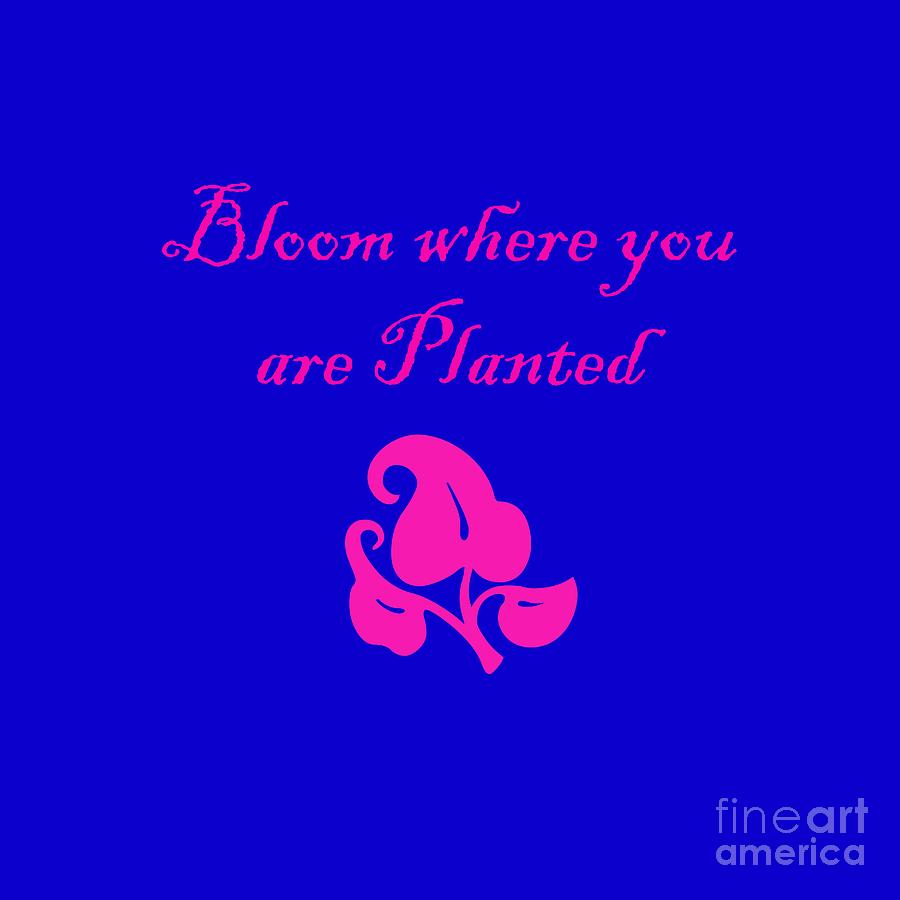 Bloom where you are Planted Digital Art by Carol Eliassen