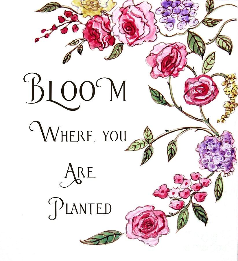 Flower Painting - Bloom Where You are Planted by Elizabeth Robinette Tyndall