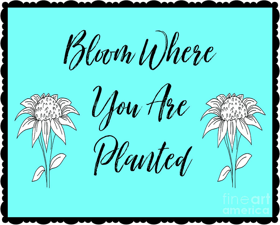 Bloom Where You Are Planted Mixed Media by Tina LeCour