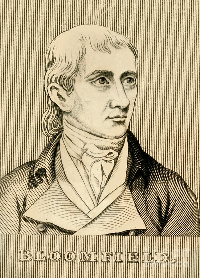 Bloomfield Drawing by Print Collector