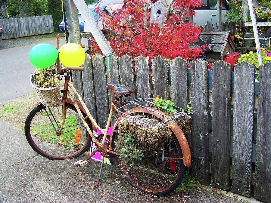 Blooming Bike Photograph by Julie Rauscher