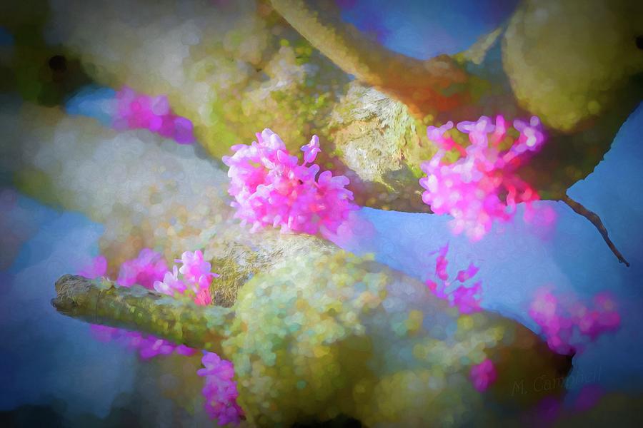 Blooming Branches by Michael Campbell Blooming Branches by Michael Campbell