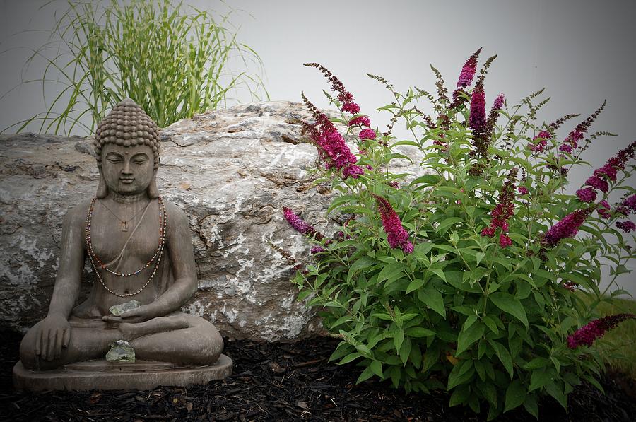 Blooming Buddha Photograph by Kathy Chism