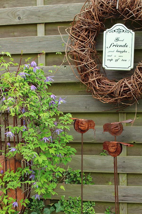 Blooming Climber On A Metal Trellis, Bird-shaped Garden Ornament Stakes And Willow Wreath On A Wooden Fence In The Garden Photograph by Erika Reetz