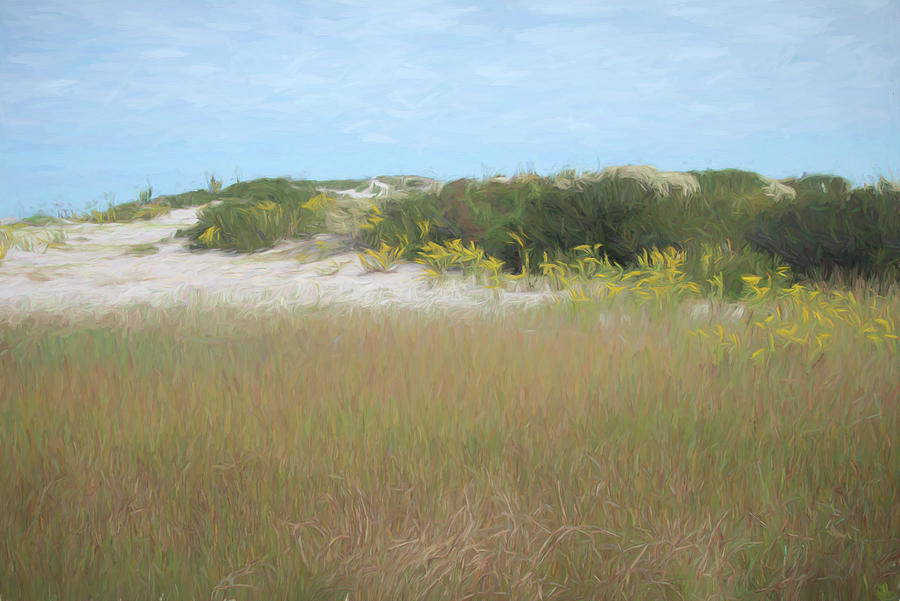 Blooming Dunes Digital Art by Jim Ford