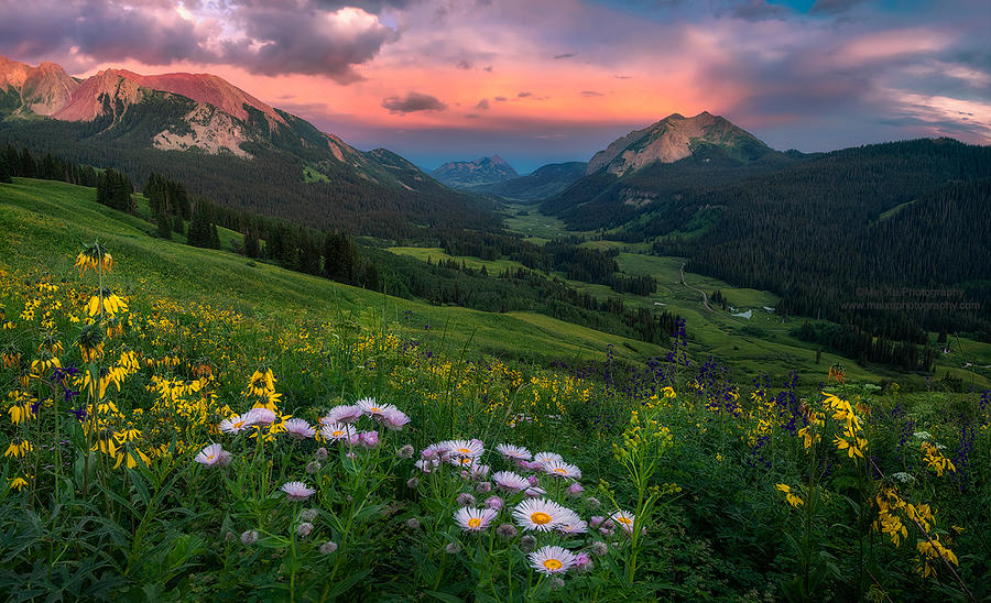 Blooming In The Valley Photograph by Mei Xu