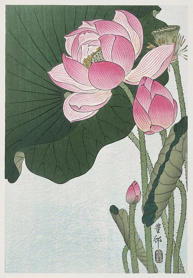 Blooming lotus flowers  1920 - 1930  by Ohara Koson  1877-1945  Painting by Celestial Images