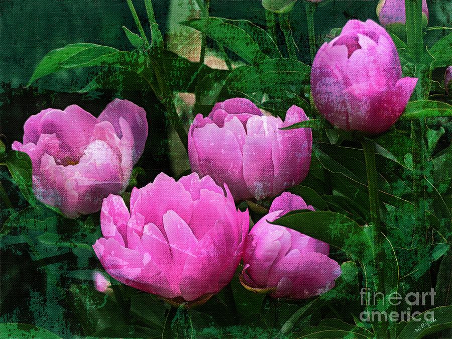 diana ferrari peonies
