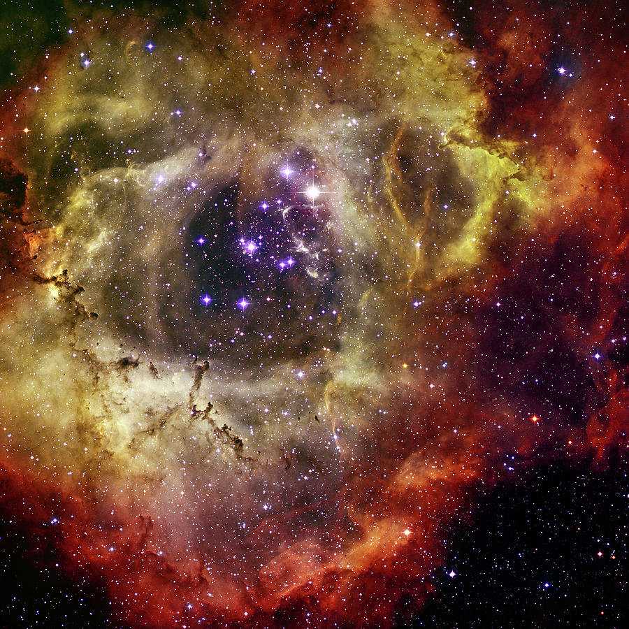 Blooming Rosette Nebula Photograph by Science Source