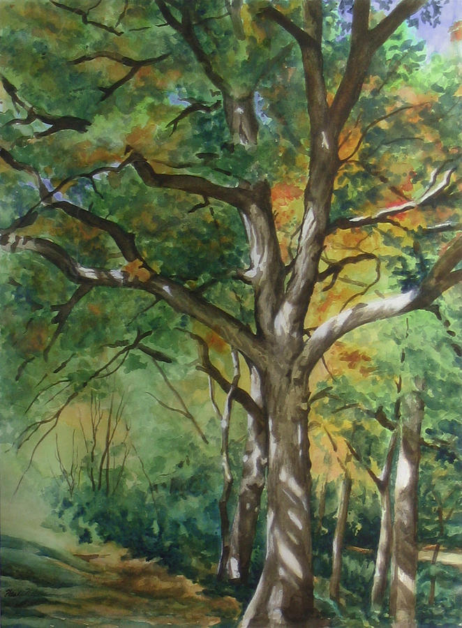 Bloomquist Oak Painting by Heidi E Nelson