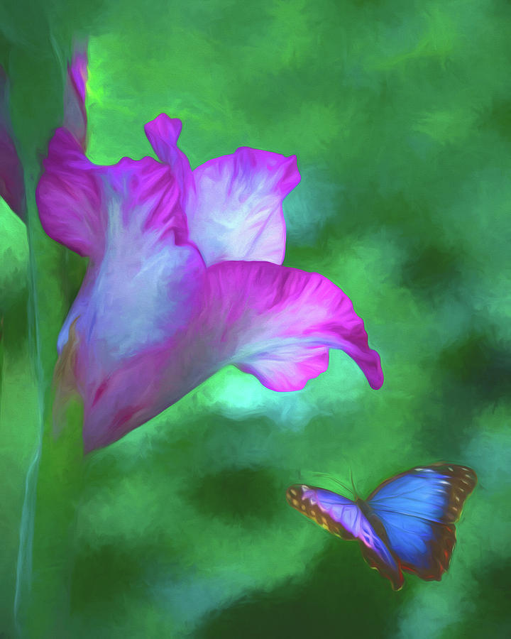 Blossom and Butterfly Photograph by Cathy Kovarik