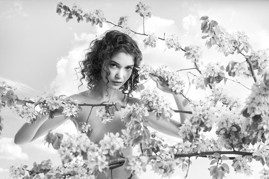 Blossom Photograph by Aurimas Valevicius