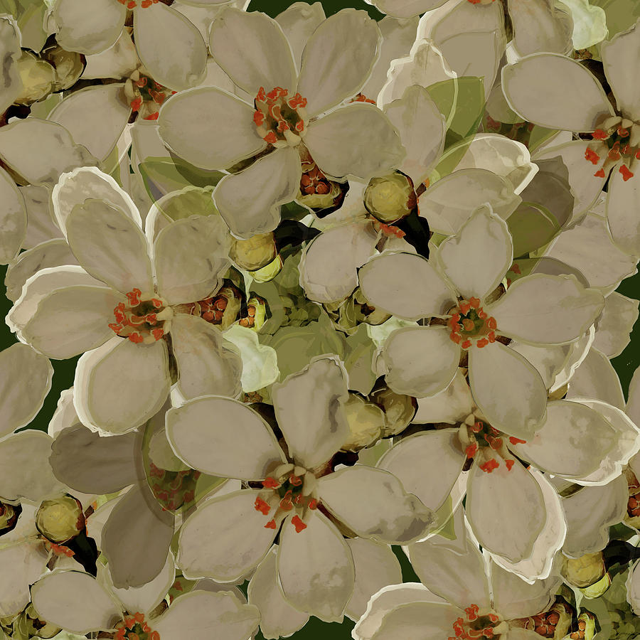 Blossom Petals Mixed Media by BFA Prints