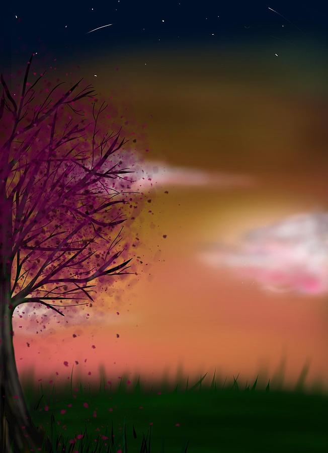 Blossom Tree Sunset Digital Art By Becky Markwick Fine Art America