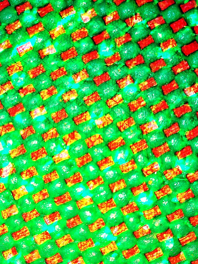 Blotter acid red green Christmas green flats purple double dome window paint Digital Art by Scott S Baker
