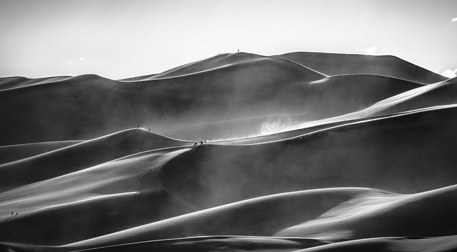 Blowing In The Wind Photograph by Lior Yaakobi