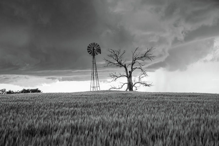 Blowing In The Wind - Windmill And Dead Tree In Northwest Oklahoma Photograph