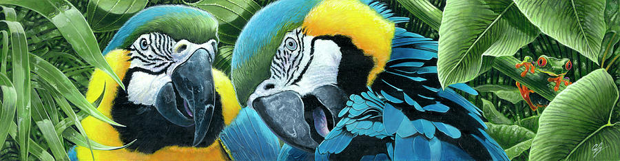 Macaw Painting - Blue & Yellow Macaws by Durwood Coffey